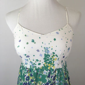 Anthropologie Eloise Impressionists Chemise dress